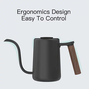 TIMEMORE | Fish Youth Pour Over Kettle