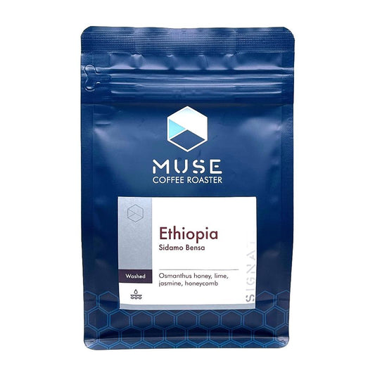 MUSE 咖啡豆  埃塞俄比亞⻄達摩斑莎
